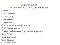 Chapter 7 (2).docx